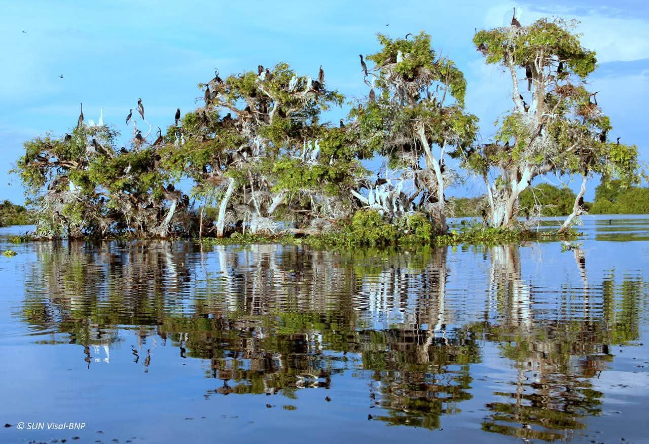 Le site Ramsar de Prêk Toal proposé comme troisième parc du patrimoine de l’ASEAN au Cambodge